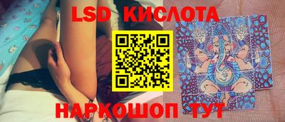 шишки Будённовск