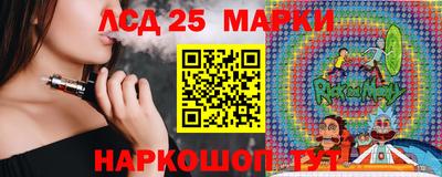 шишки Будённовск