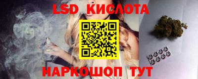 шишки Будённовск