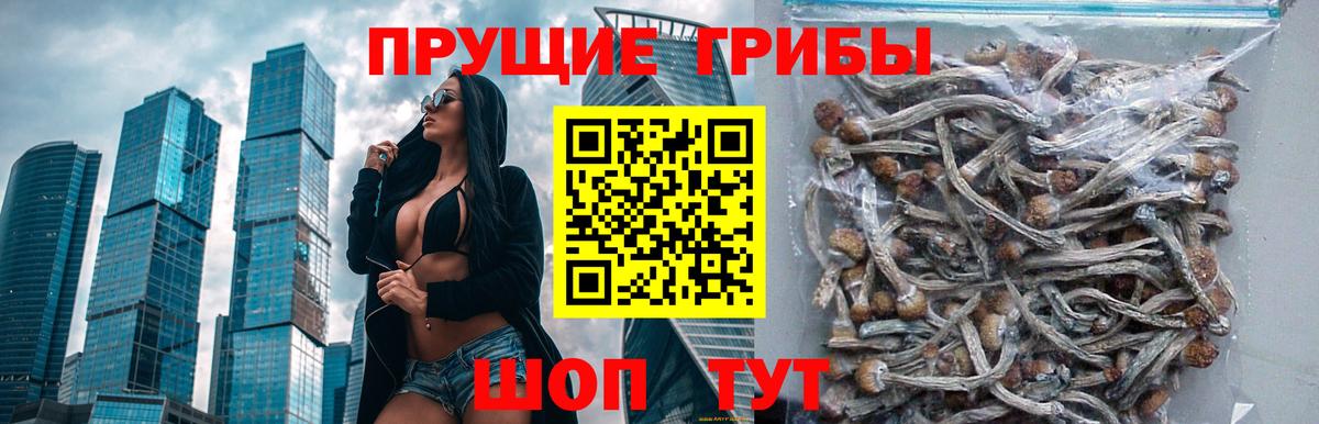 Кумертау  Галлюциногенные грибы GOLDEN TEACHER  Вход с VPN 